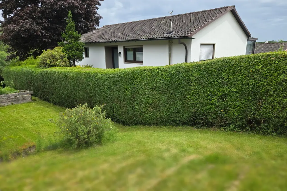 Bungalow hinter einer gerade geschnittenen Hecke, davor gemähter Rasen