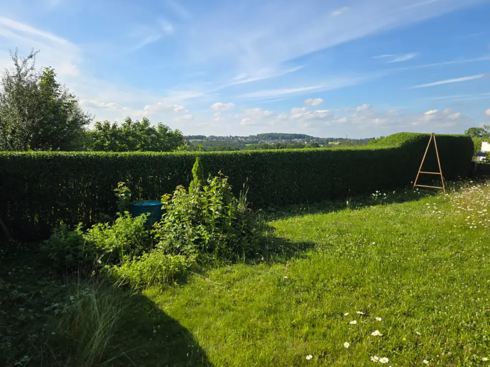 Nachher: Gartenhecke gerade geschnitten, oben eben