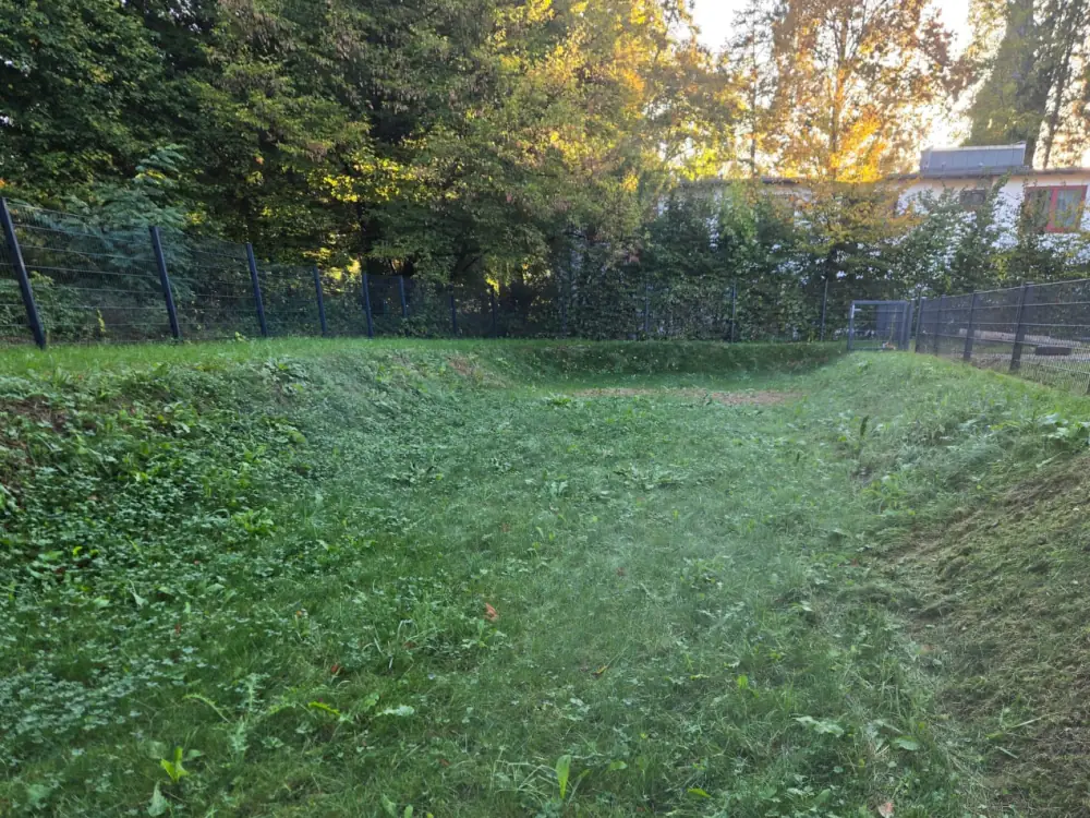 Vorher: Graben und Böschung mit hohem Gras und Klee